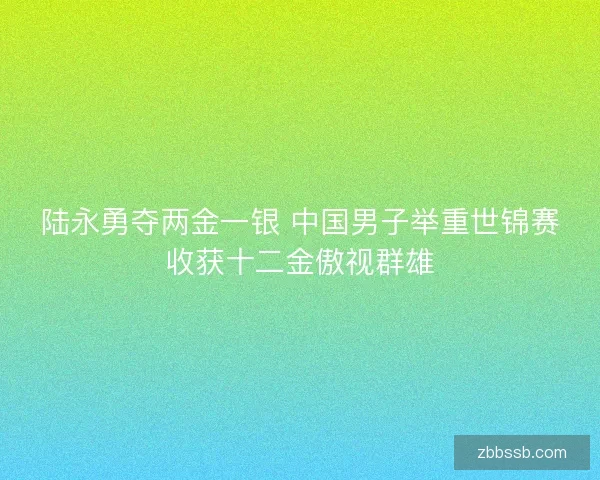 陆永勇夺两金一银 中国男子举重世锦赛收获十二金傲视群雄